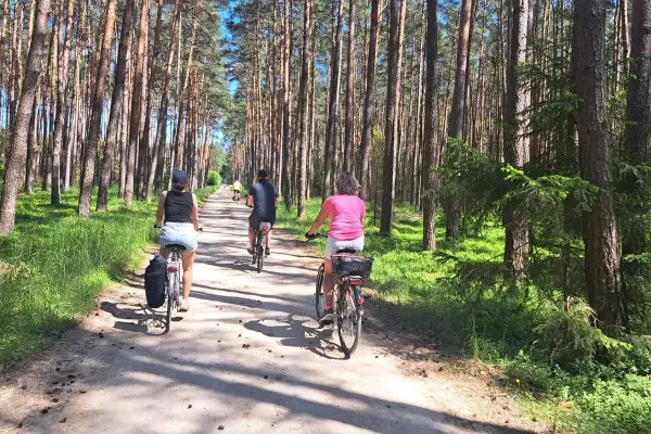 Rodzina na rowerach przemierza leśne **szlaki** w okolicach **Czorsztyna**. Słońce przebija się przez sosnowy las, tworząc malownicze cienie.
